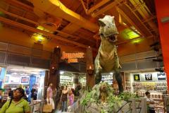 image_53f4ff5394154_dsc08949