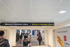 Jour 1 : Copenhague et Tivoli Gardens