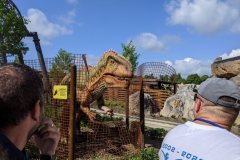 Jour 4 : Djurs Sommerland et hôtel du parc de Farup Sommerland