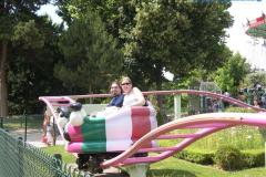 image_5245f5bbd4b99_papillons_alice_2 image_5245f5bbd4b99_papillons_alice_2