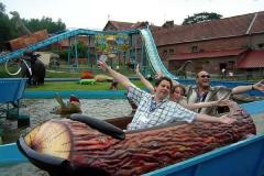 image_5245f53d97346_dino_splash