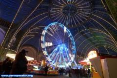 image_5245f5c2e0209_grande_roue_6