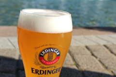 Moment libre dans le parc Moment libre dans le parc