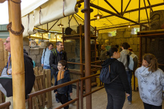 Walibi-R.A.-2024-20