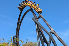 Walibi-R.A.-2024-25