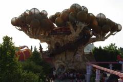 image_5245f5c76132c_albero-di-prezzemolo