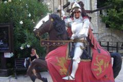 image_5245f5c866e9d_chevalier-veronique image_5245f5c866e9d_chevalier-veronique