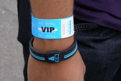 image_5245f6153a5a4_liseberg-09