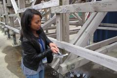 image_5245f61af33b8_liseberg-31