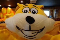 image_55f58085a1e7a_56